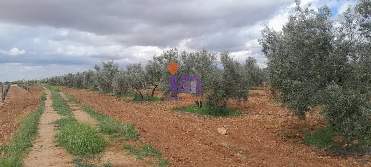 Country house for sale in Valdepeñas