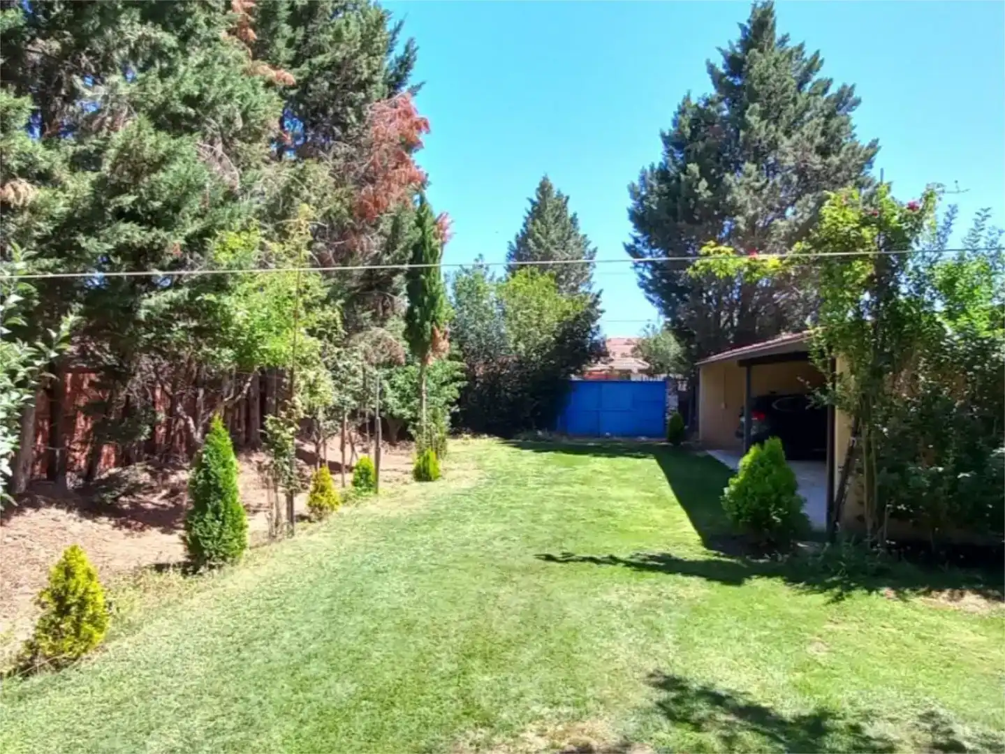 Garden of Land for sale in Benavides
