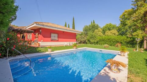 Photo 2 of Houses for sale in Calle Alameda, Valencina de la Concepción, Sevilla