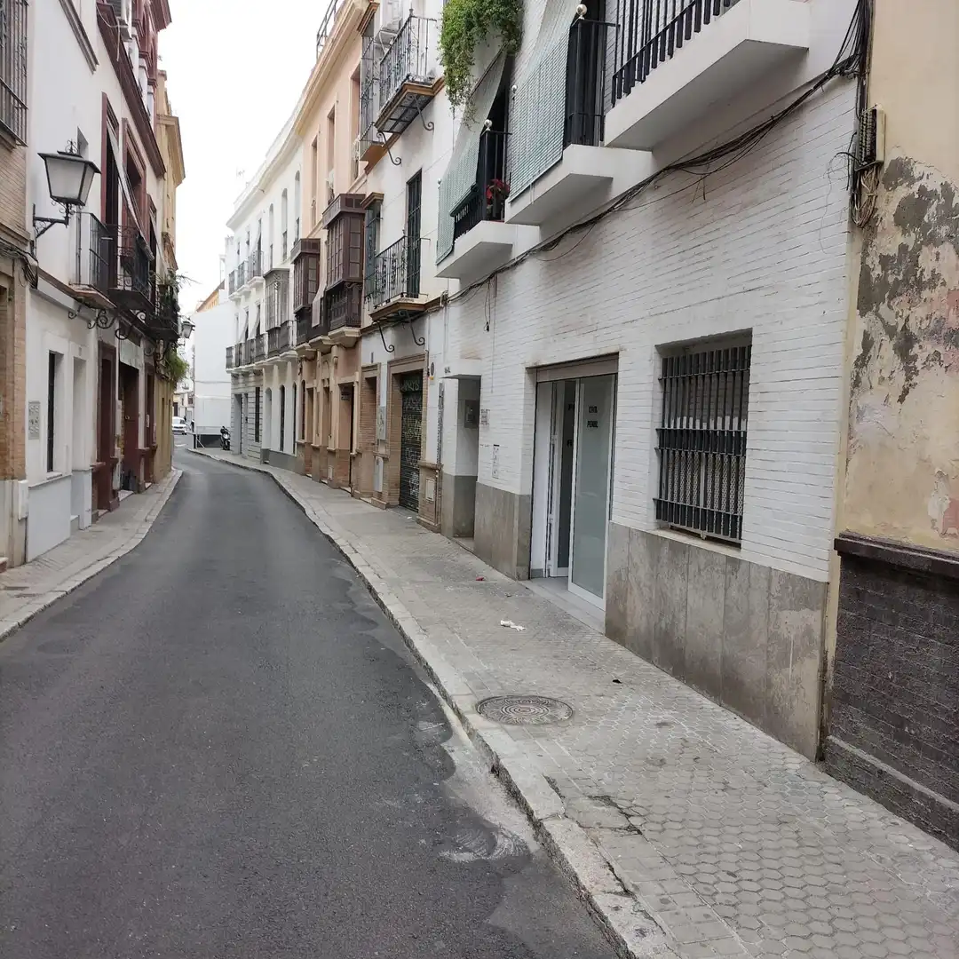 Gewerbefläche zur Miete in Casco Antiguo, imagen 10