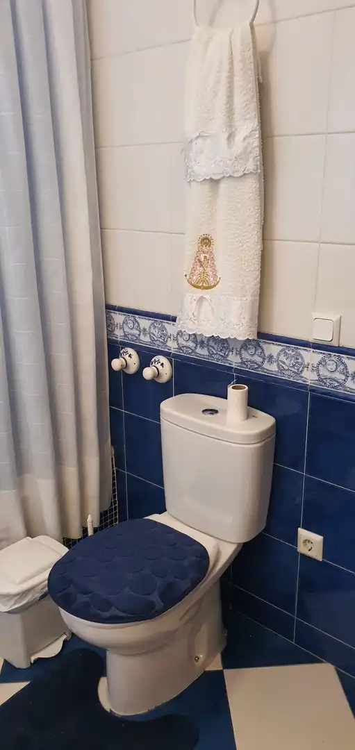 Baño de Casa o chalet en venta en Brenes con Aire acondicionado, Jardín privado y Terraza