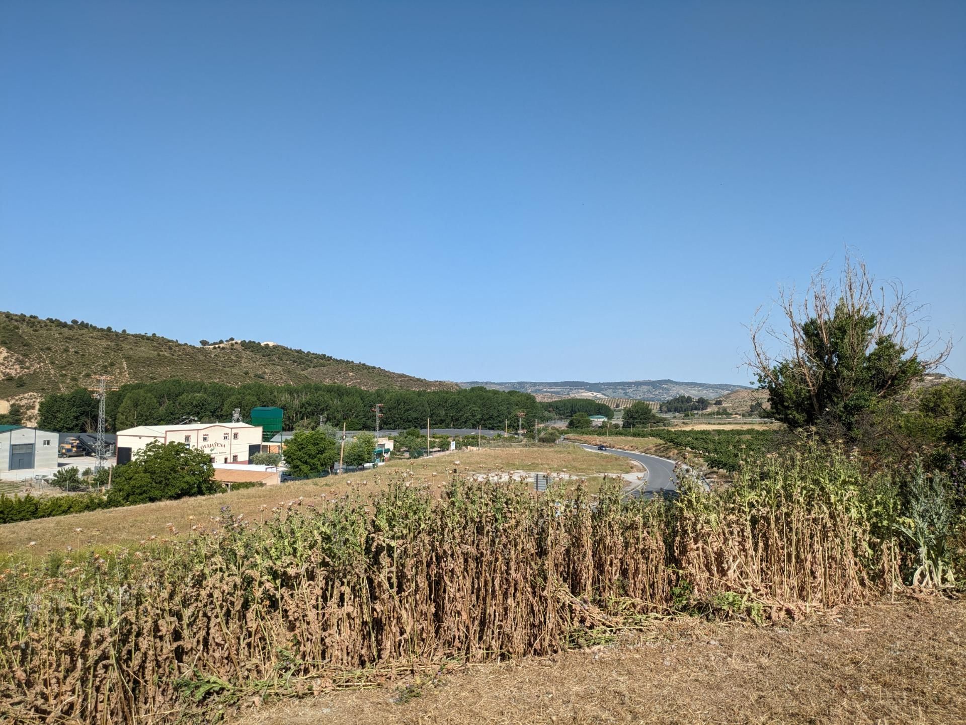 Residential zum verkauf in Jayena