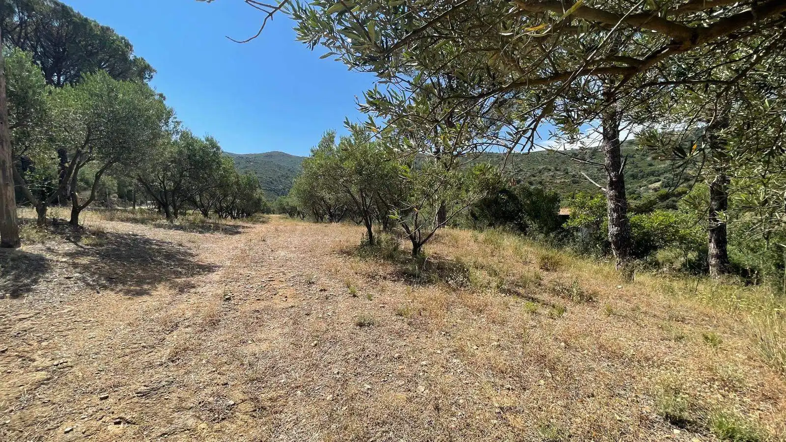 Finca rústica en venta en Vilajuïga con Terraza, Trastero y Balcón
