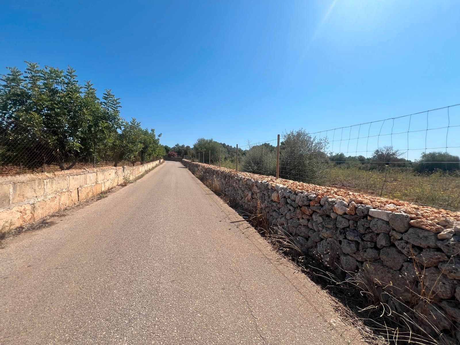 Terreno en venta en Santa Margalida