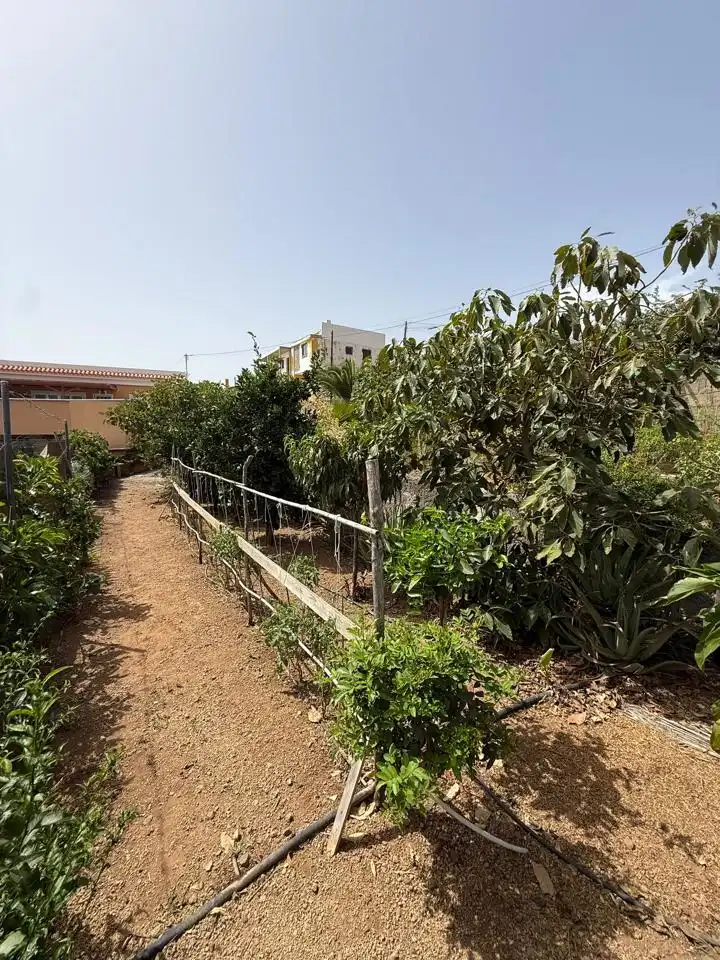 House with pool for sale in Camino la Medida, imagen 63