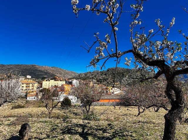 Terreno en Venta en Tàrbena