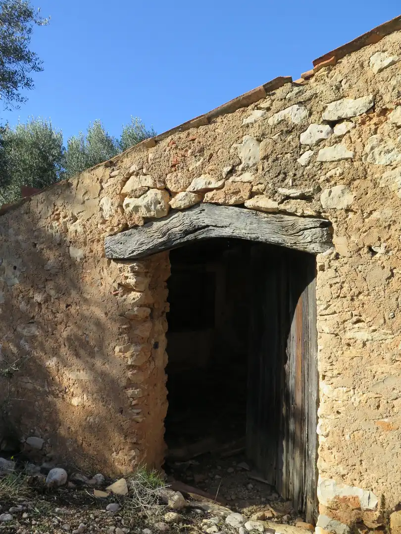 Rural land for sale in Godall, imagen 10