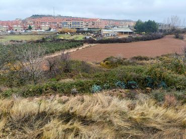 Terreno rustico in vendita a Villamediana de Iregua