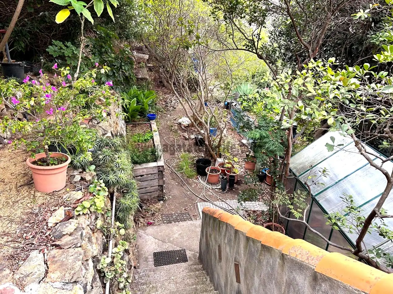 Jardín de Finca rústica en venta en Vallehermoso con Aire acondicionado, Calefacción y Jardín privado