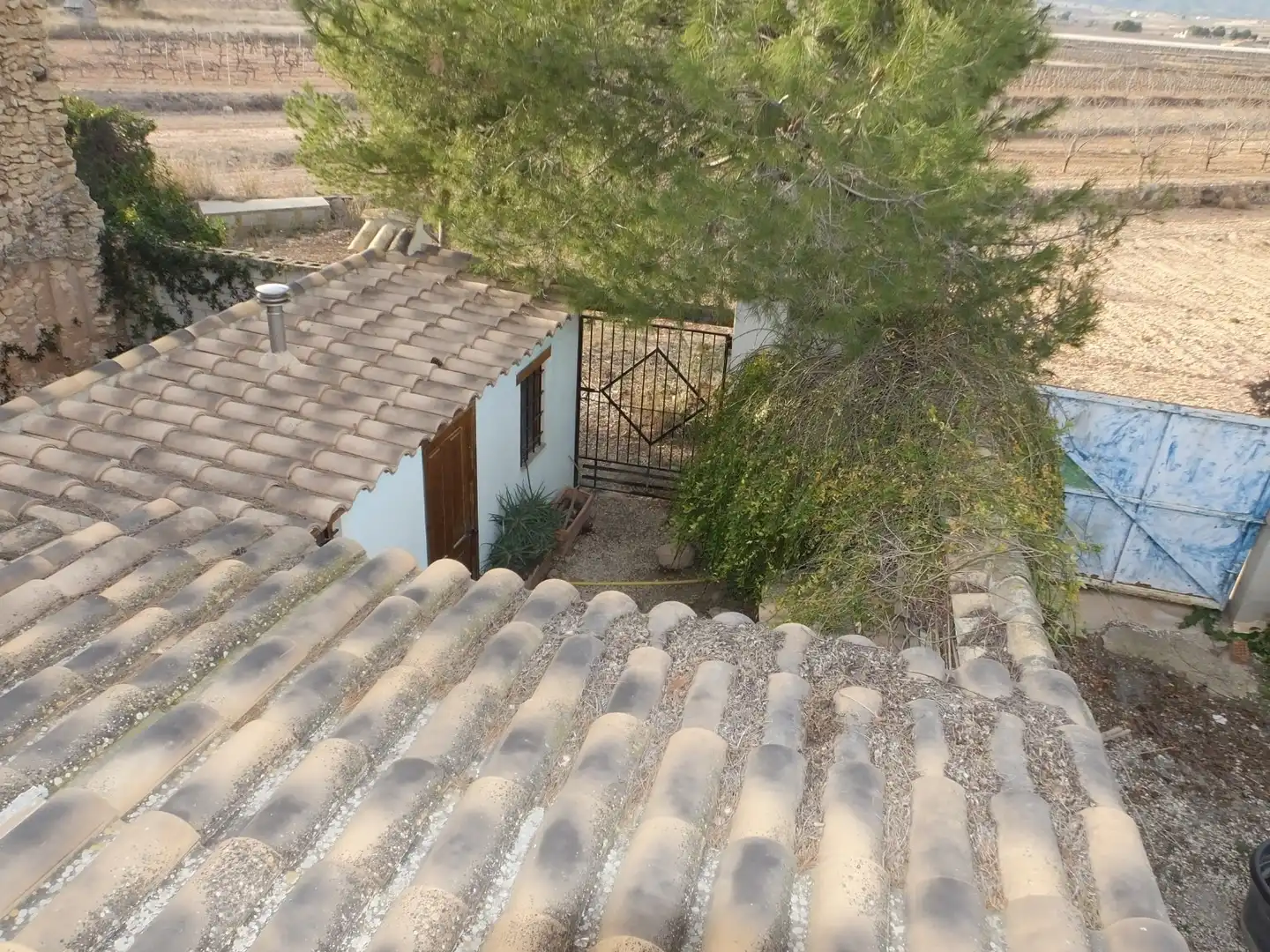 Landhaus zum Verkauf in El Pinós / Pinoso, imagen 37