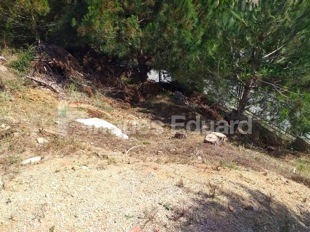 Lands and plots for sale in Nucli Urbà, imagen 3