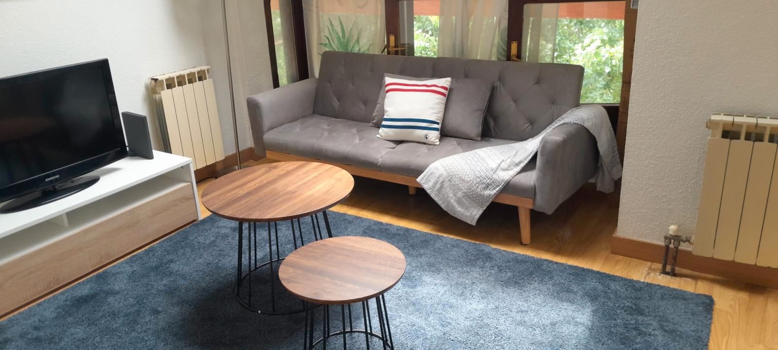 Living room of Attic to rent in Santander  with Furnished and Pets allowed