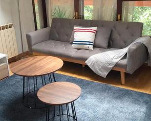 Living room of Attic to rent in Santander  with Furnished and Pets allowed
