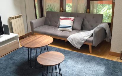 Living room of Attic to rent in Santander  with Furnished and Pets allowed