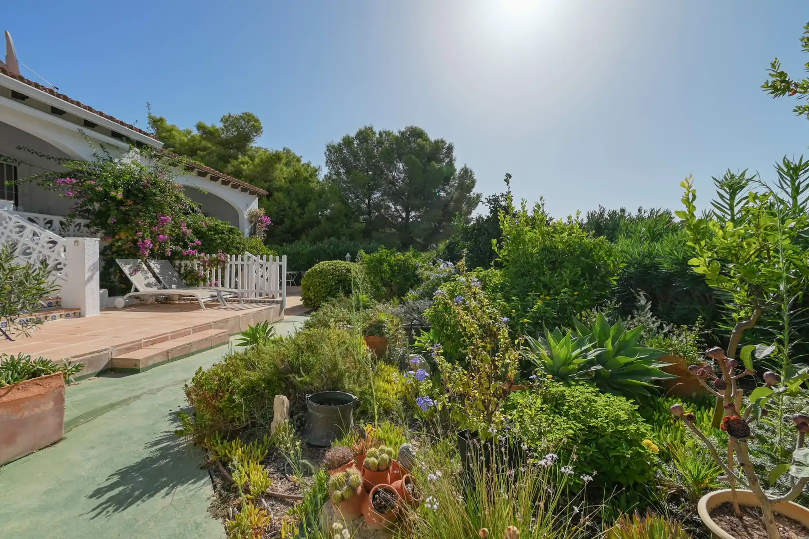 Jardí de Casa o xalet en venda en La Viña - Montemar - San Jaime  