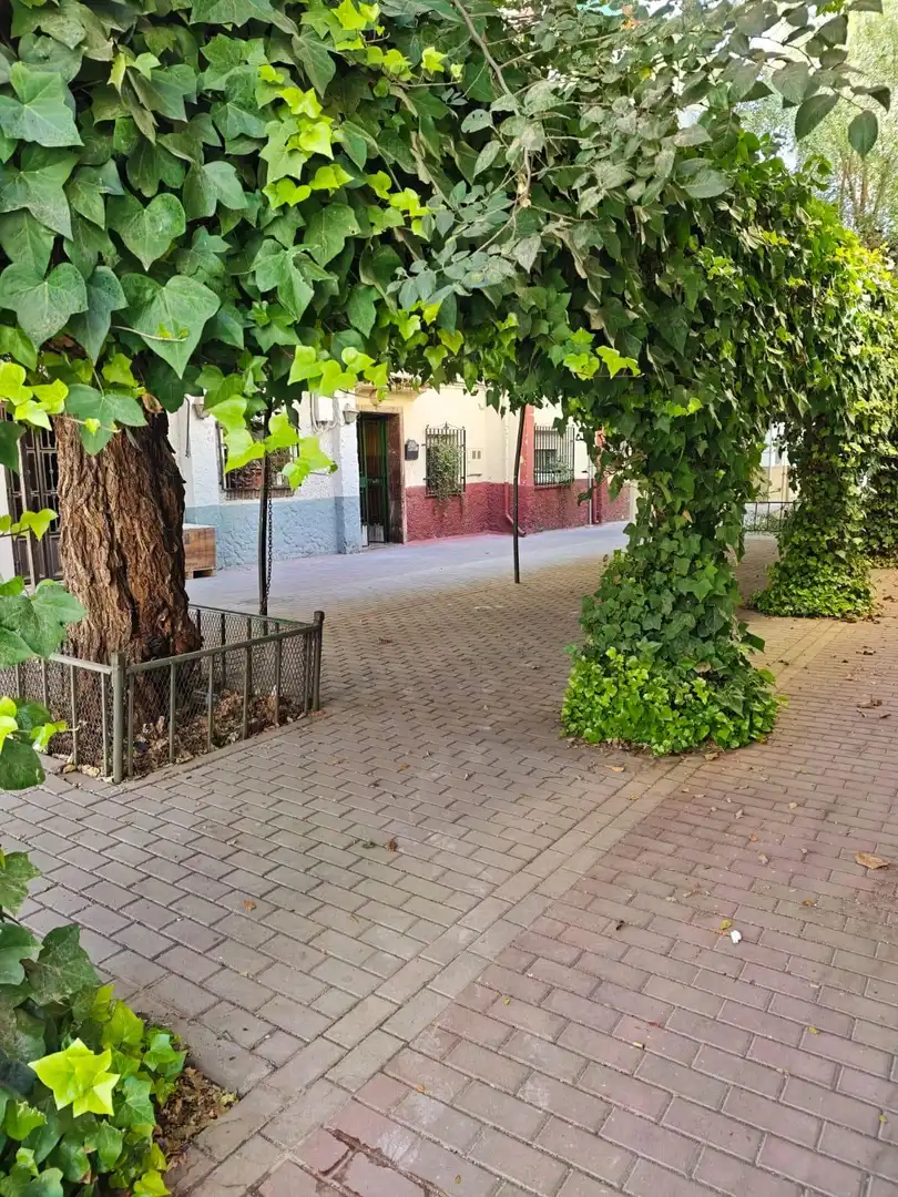 Außenansicht von Wohnung zur Miete in Granada mit Privatgarten, Möbliert und Balkon