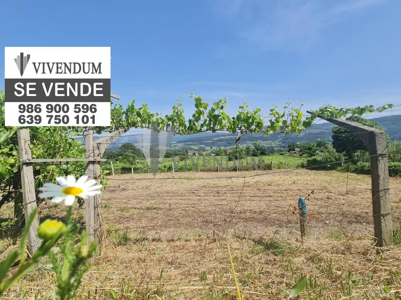 Rural land for sale in Arbo