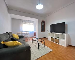 Living room of Flat to rent in Plasencia  with Furnished, Oven and Washing machine