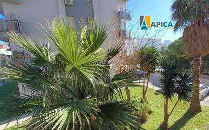 Exterior view of Flat for sale in Algeciras  with Terrace