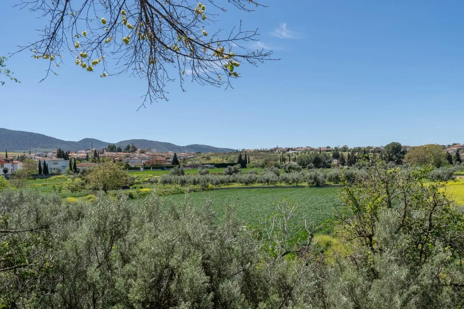 Residential land for sale in Calle de la Media Luna, imagen 54