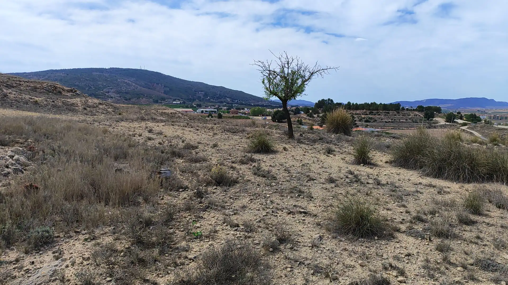 Terreno en venta en Camino del Toscar, 11, El Pinós / Pinoso