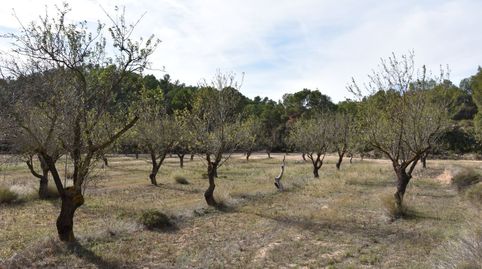 Finca rústica en Calaceite, immagine 4