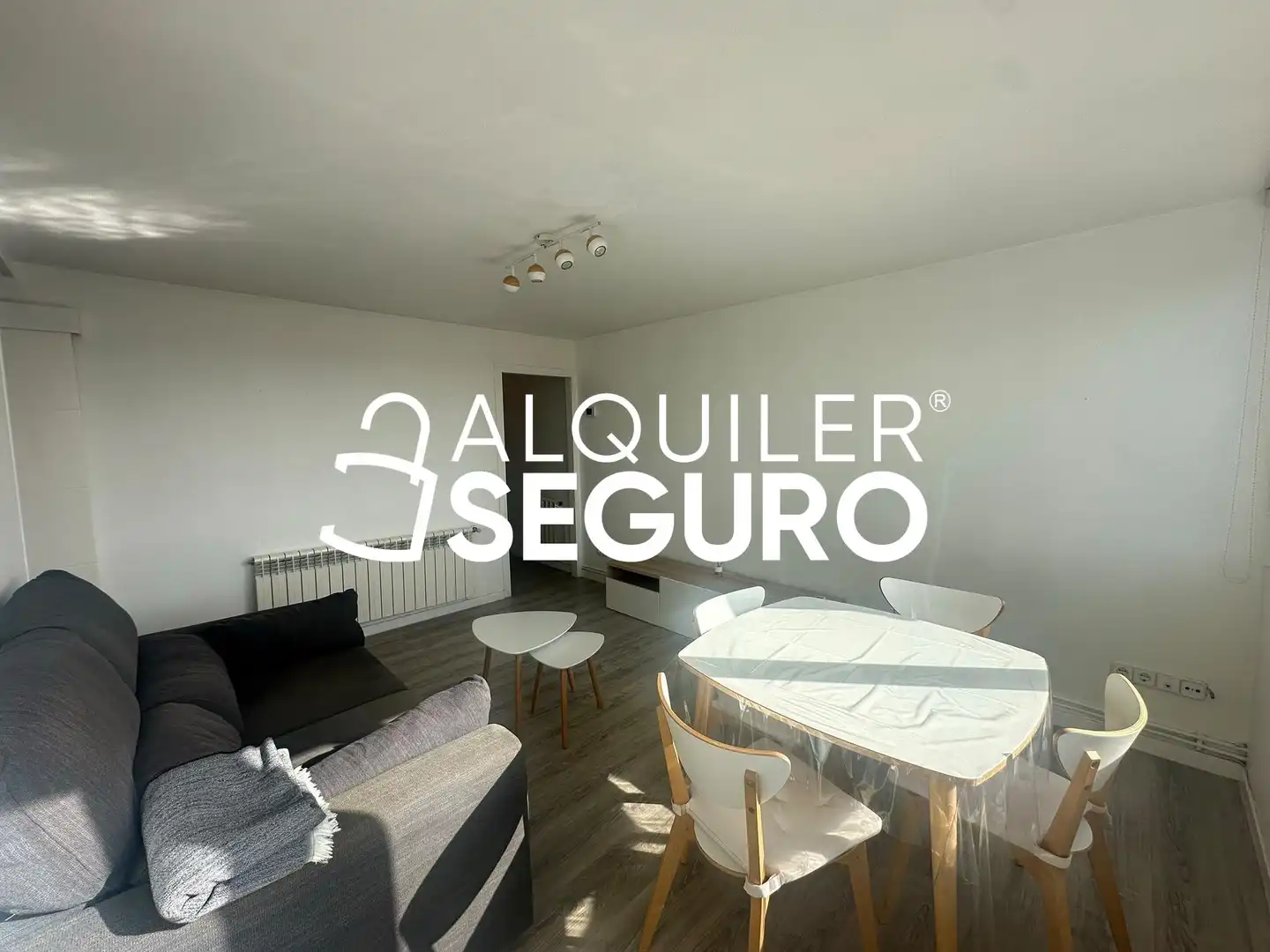 Living room of Flat for rent in Madrid  with Air Conditioner, Heating and Furnished