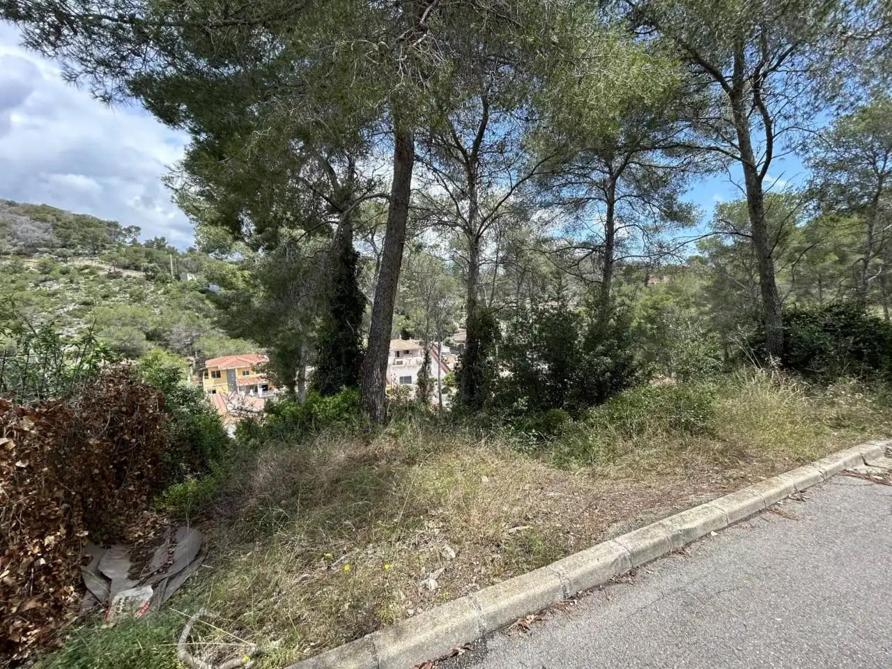 Terrain rustique à vendre à Calle SALVADOR DALI 53, imagen 2