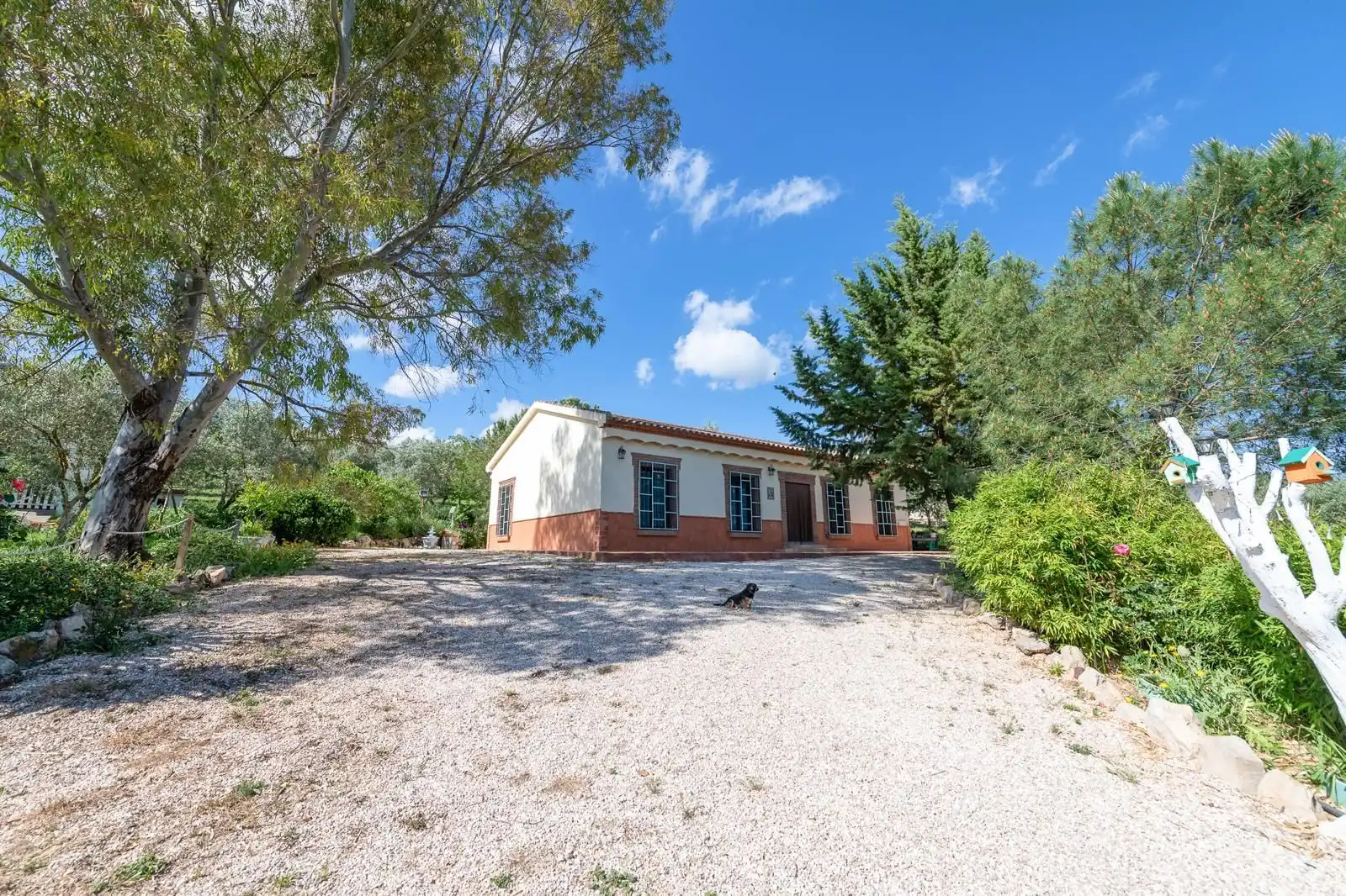 Casa rústica con jardín en venta en Villanueva del Trabuco, imagen 13