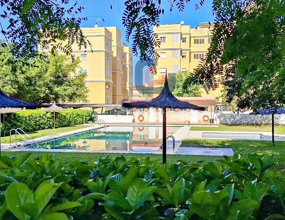 Appartamento con piscina in vendita a Playa de San Juan - El Cabo de las Huertas, imagen 36