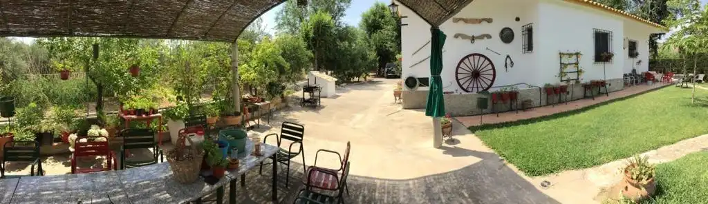 Terraza de Finca rústica en venta en Baena con Jardín privado, Terraza y Piscina
