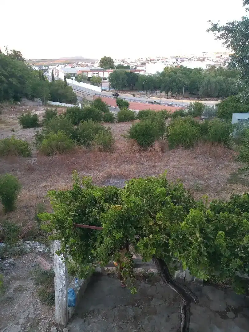 Finca rústica en venta en Casariche con Trastero, Amueblado y Horno