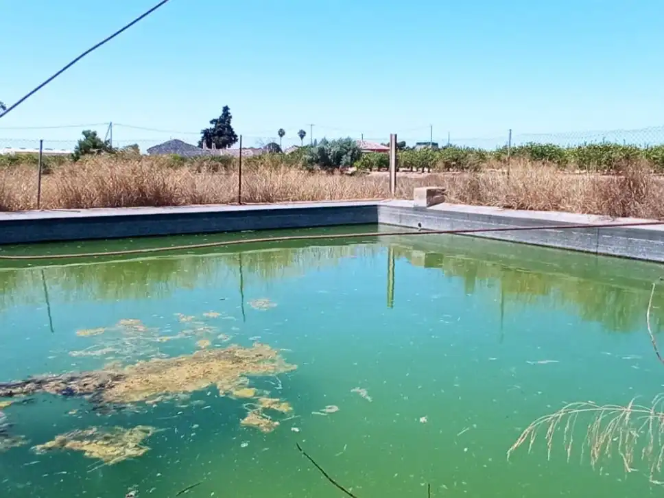 Rural land for sale in Partida Torrejón de San Bruno 52, imagen 2