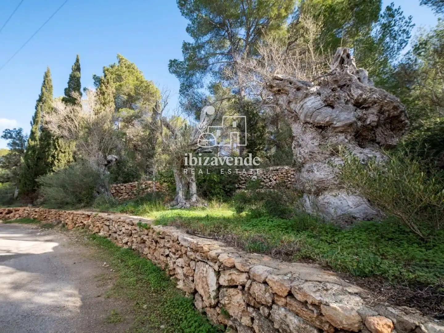 Casa amb piscina en venda a Santa Eulali, imagen 29