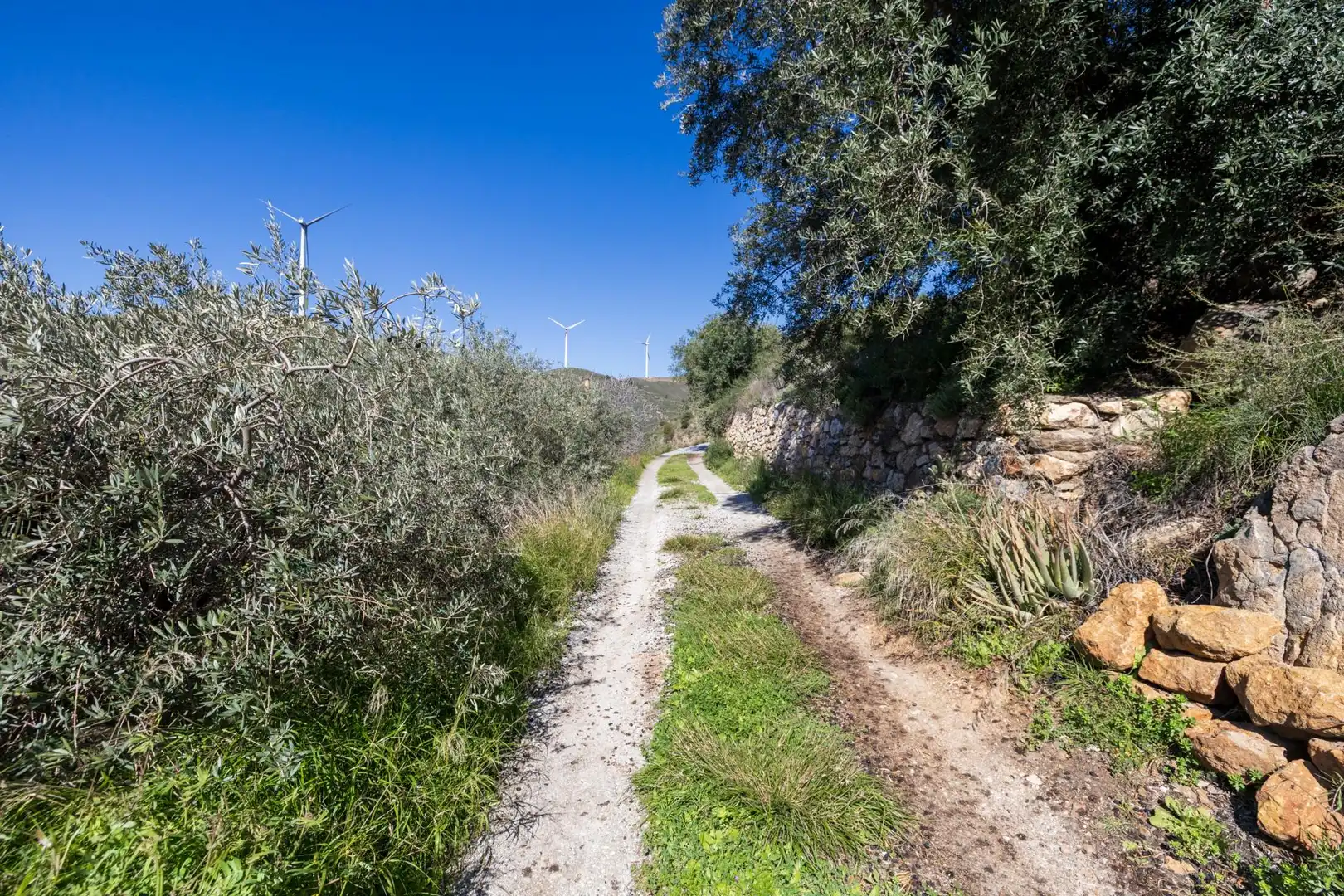 Rustikales Grundstück zum Verkauf in BARRANCO JUAN BUENO, POLIGONO 12, imagen 4