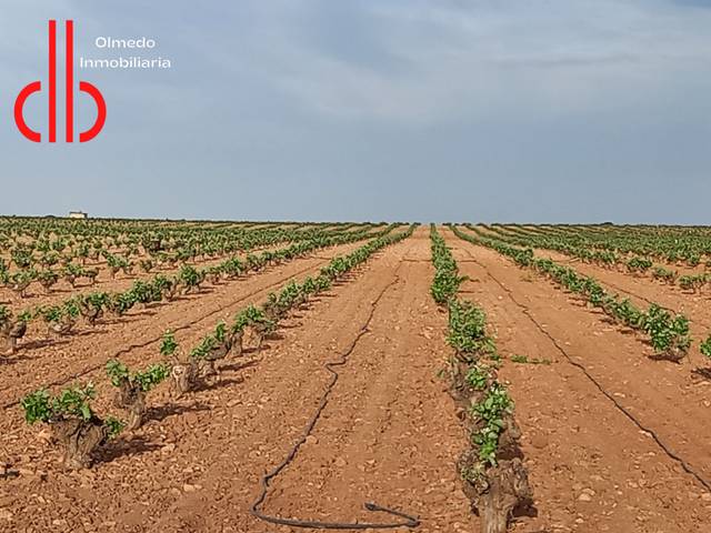 Terreno en Venta en Calle García Pavón, 112 en Tomelloso