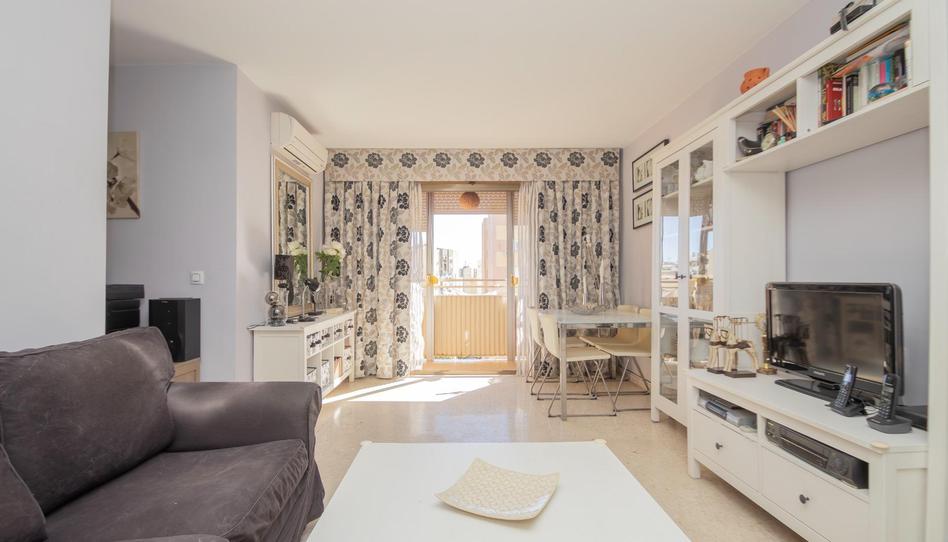 Photo 1 of Flat for sale in Barrio San Diego, Pino Montano - Consolación, Sevilla