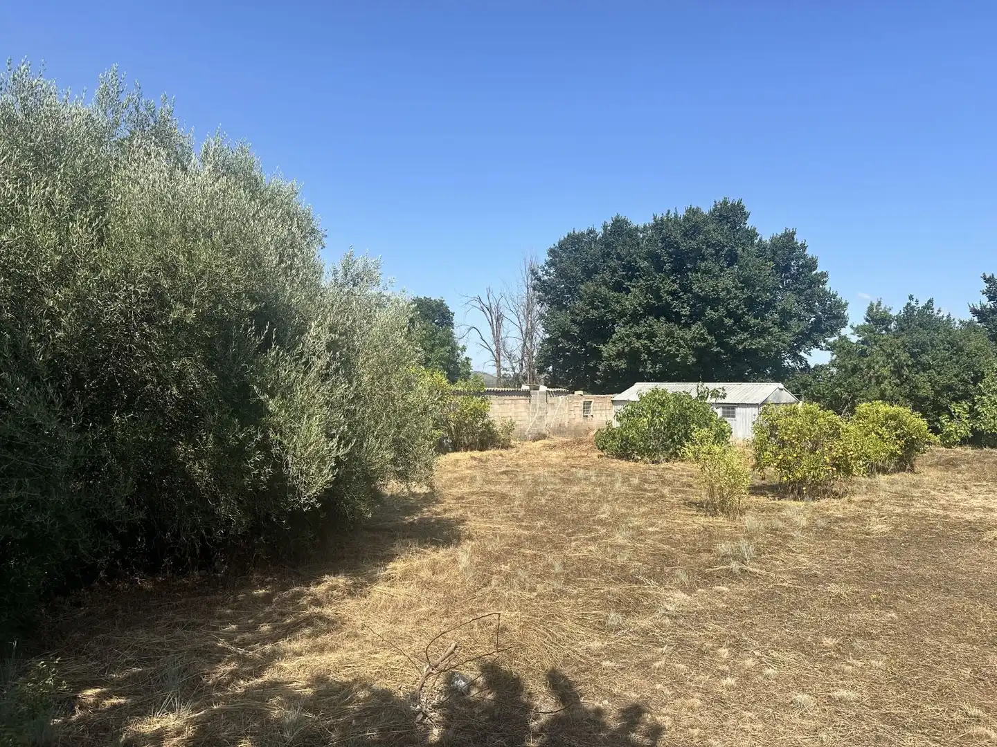 Terreno residencial en venta en Algímia de Alfara, imagen 5