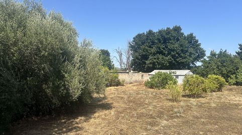 Parc.Urbana en venta en Algimia De Alfara., immagine 5