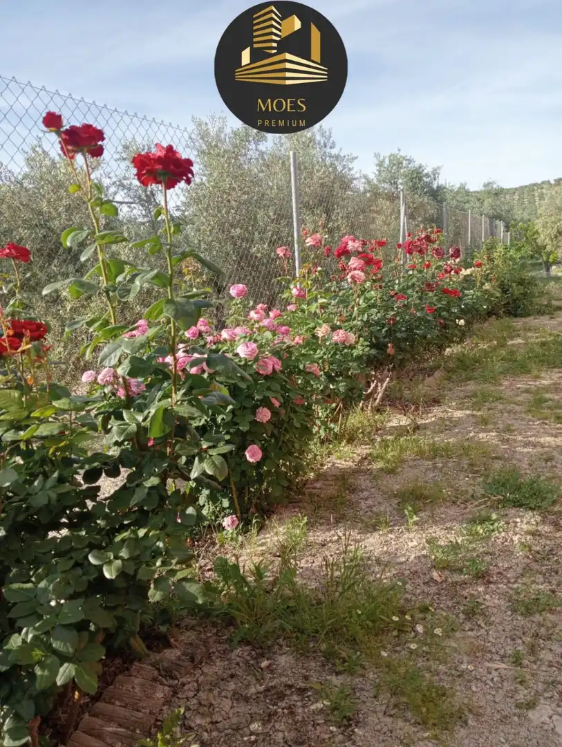Villa zum Verkauf in Begíjar, imagen 50