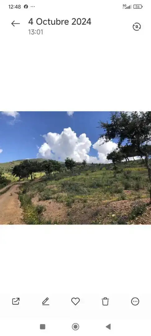 Piso en venta en Zufre