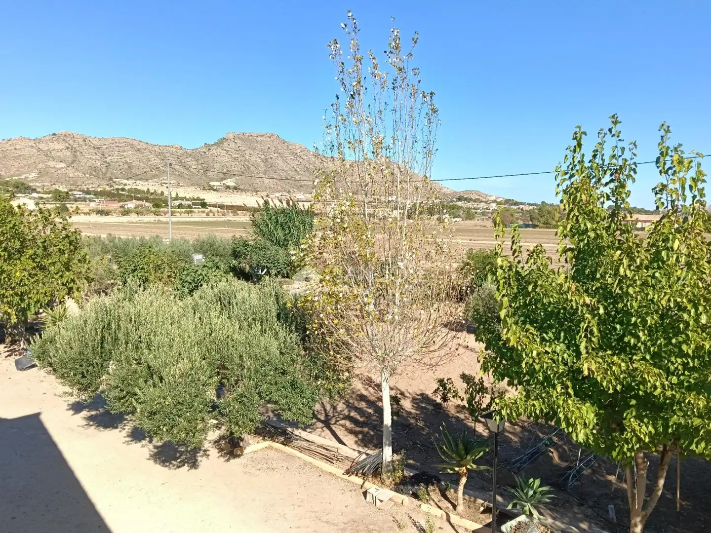 Chalet con jardín en venta en Pedanías Oeste, imagen 34