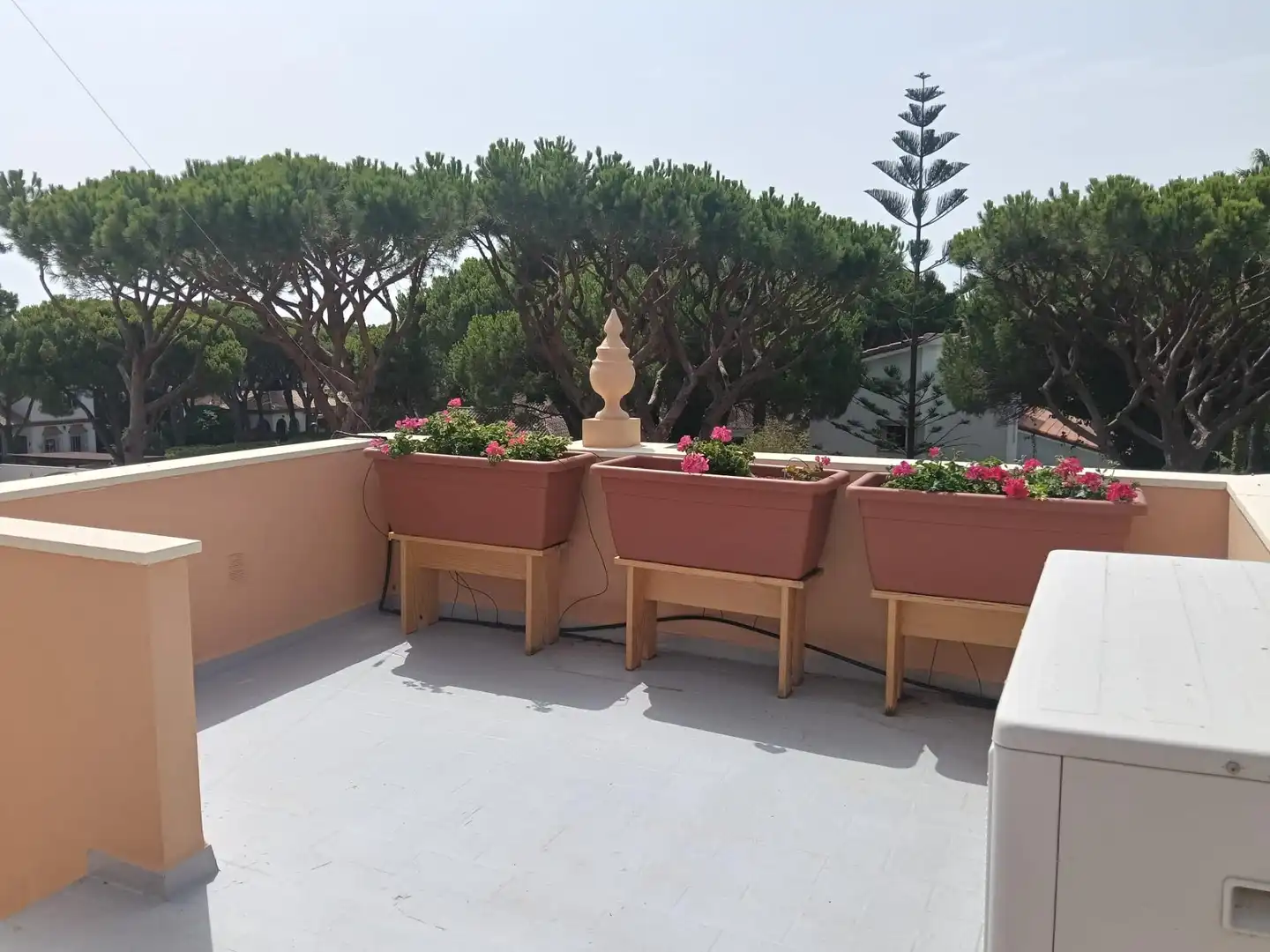 Terrassa de Casa o xalet en venda en Conil de la Frontera amb Aire condicionat, Jardí privat i Terrassa
