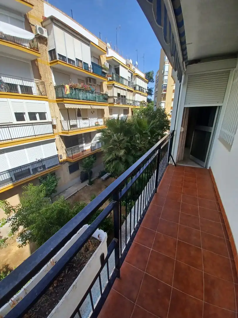 Vista exterior de Pis en venda en Triana