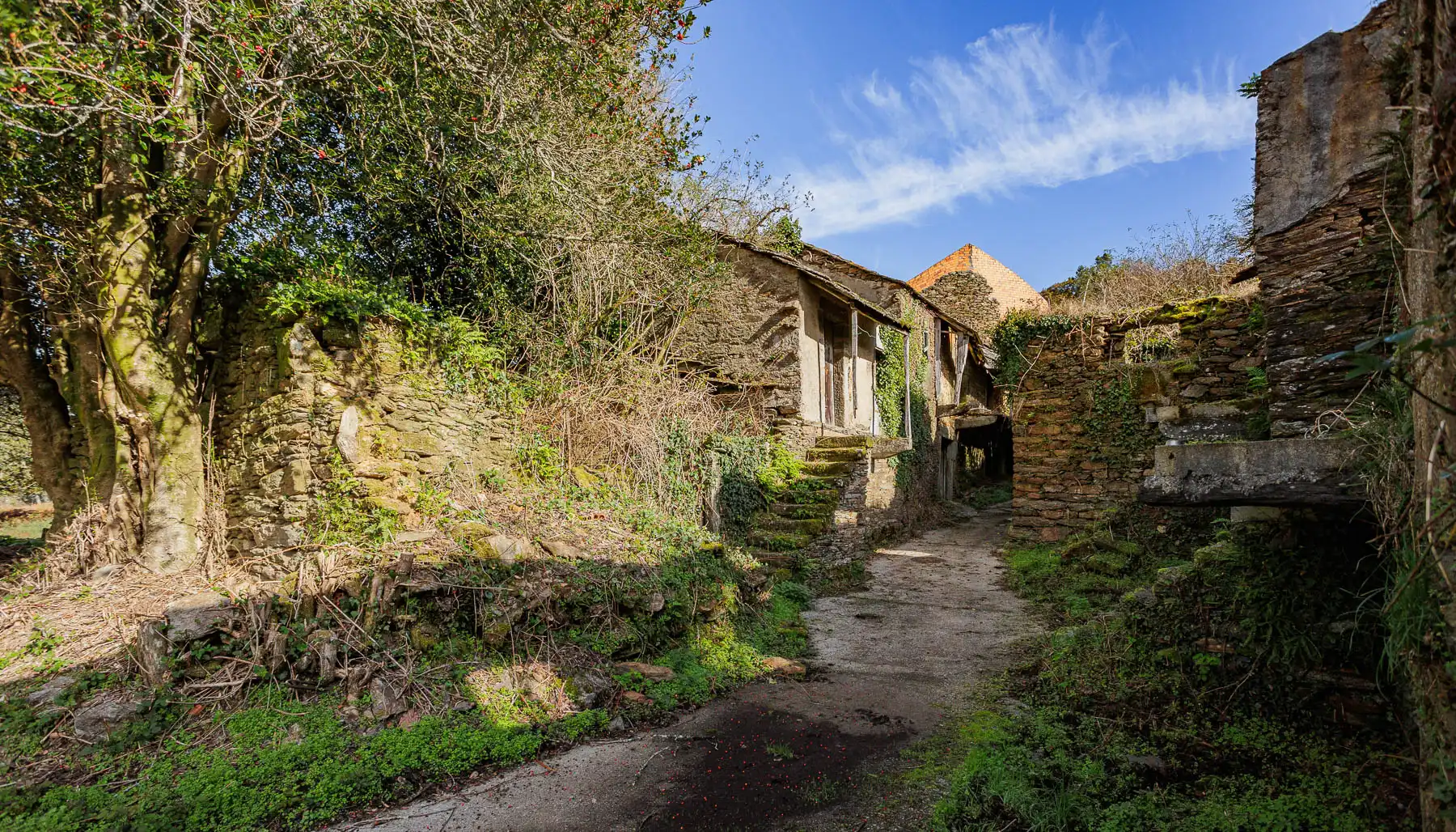 Vista exterior de Finca rústica en venta en Beariz