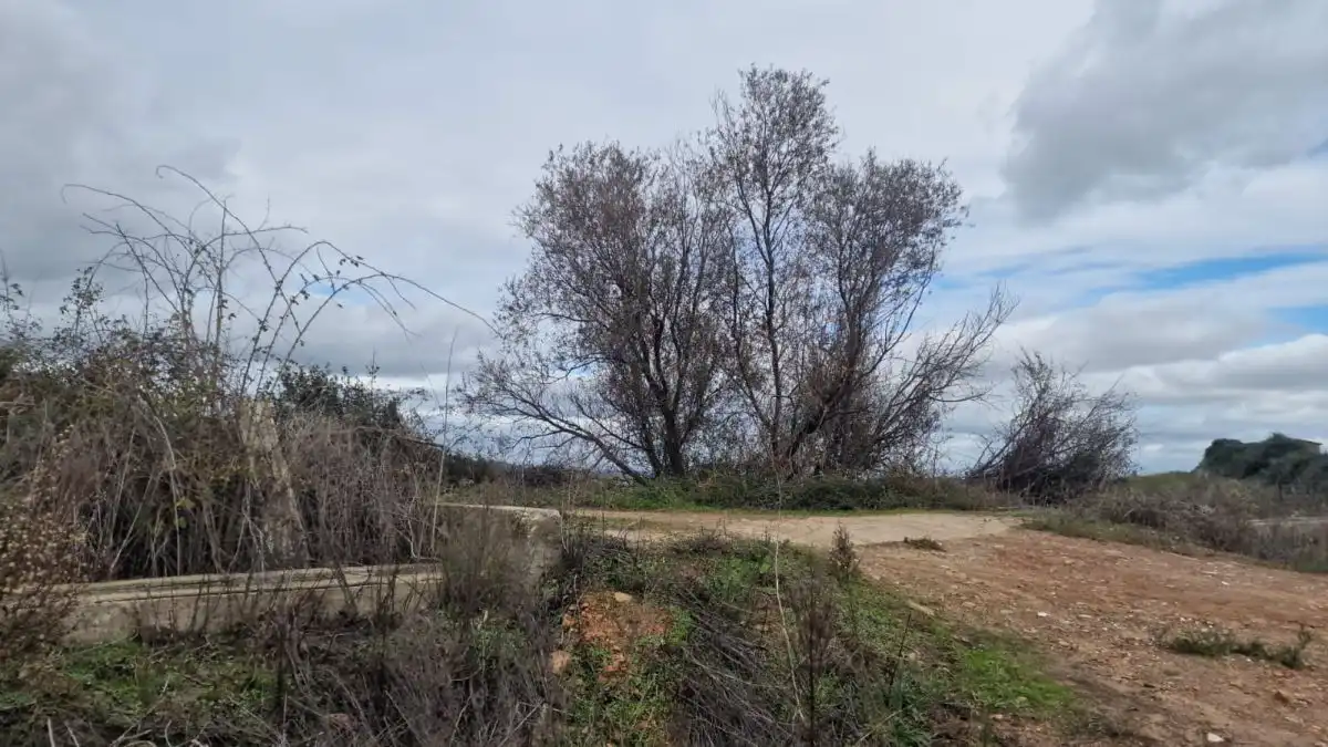 Terrains et parcelles à vendre à Montehermoso, imagen 3