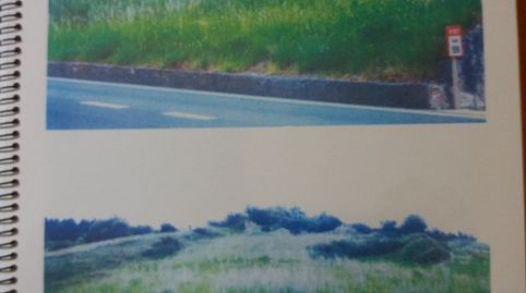 VENTA..SOLAR..PIELAGOS..CANTABRIA, imatge 4