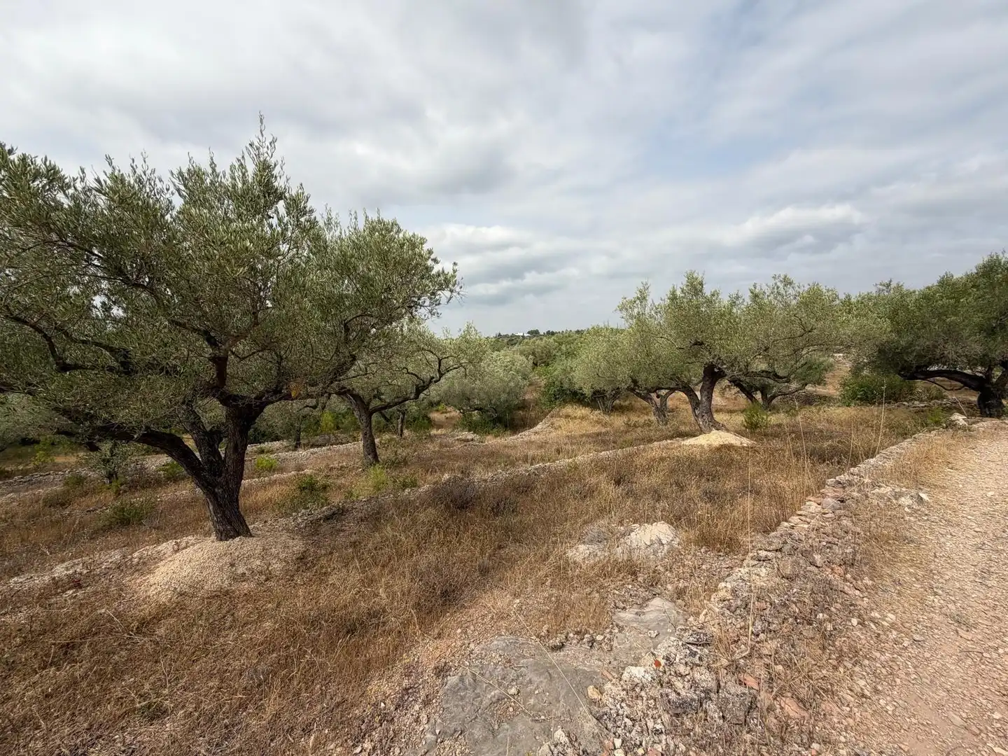 Maison rustique à vendre à L'Ampolla, imagen 22