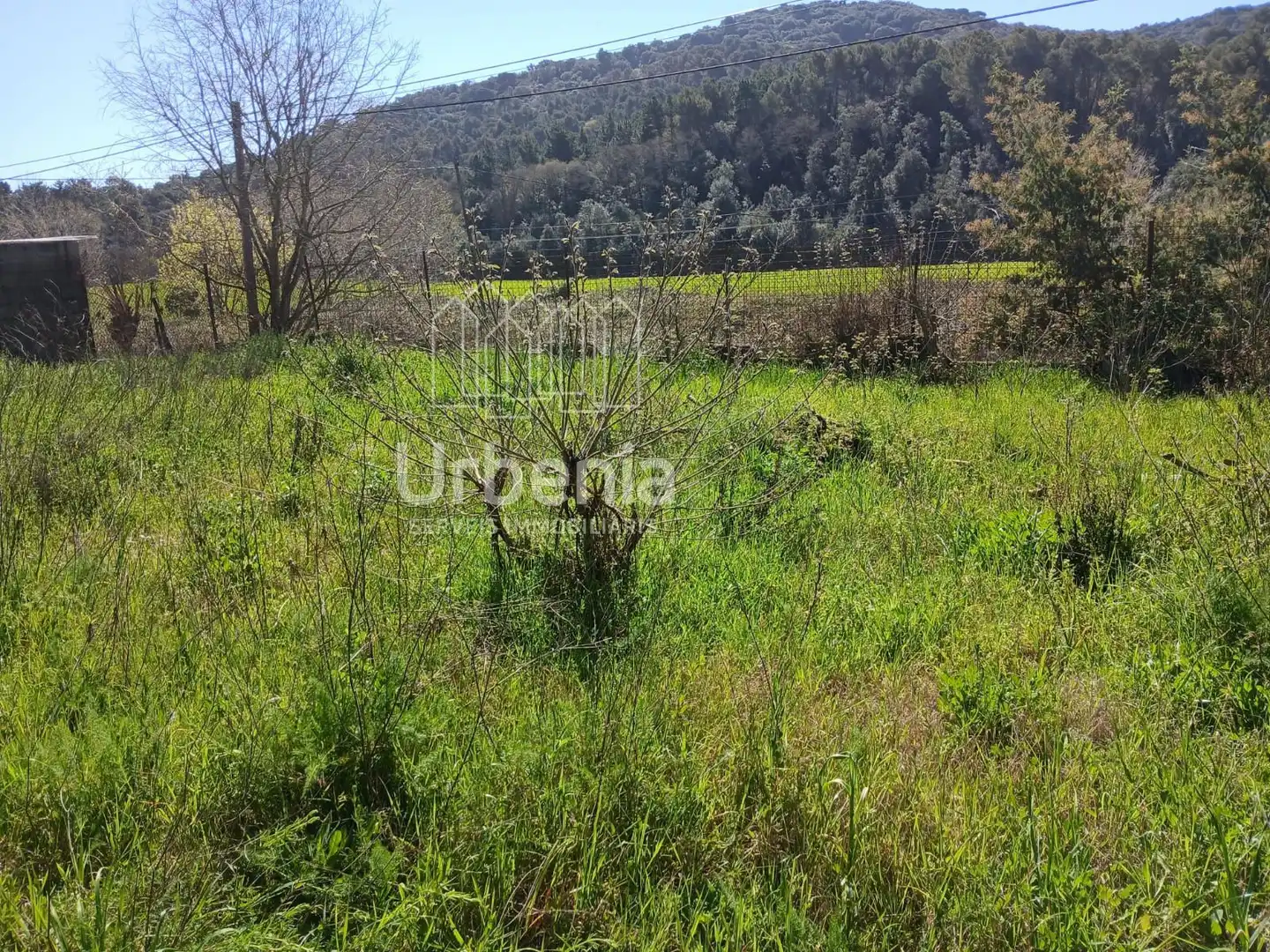 Terreno rústico en venta en Palafolls, imagen 2