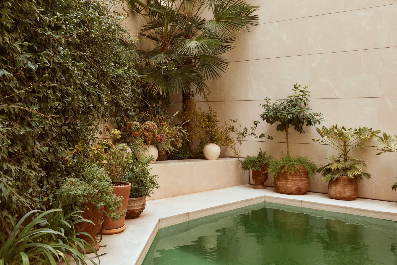Swimming pool of Flat for sale in  Madrid Capital  with Air Conditioner, Heating and Private garden